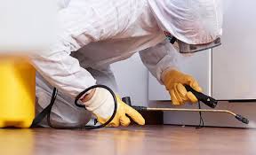 Best Residential Pest Control  in Pierre Part, LA